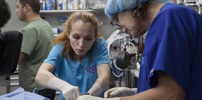 18:00: Dr. Jeff: Rocky Mountain Vet (S4 E16) (S4) | Animal Planet | 2/9 2026