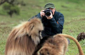 Berättelserna bakom bilderna: I det vilda