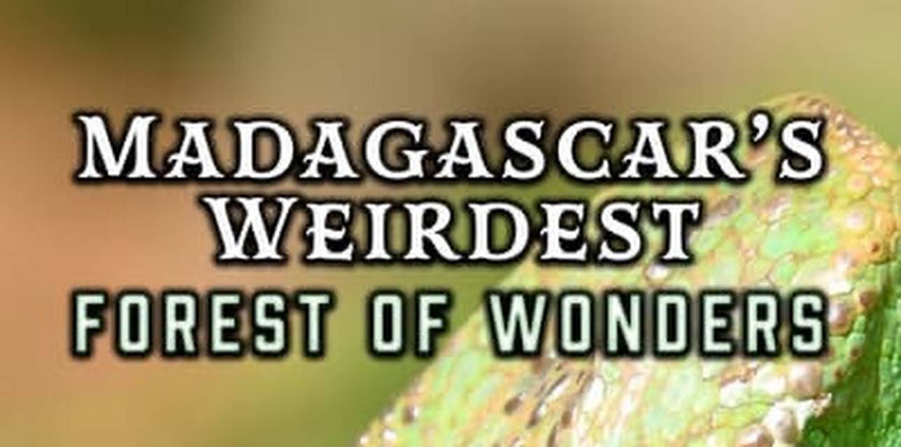 Madagascar's Weirdest: Forest of Wonders (2020)