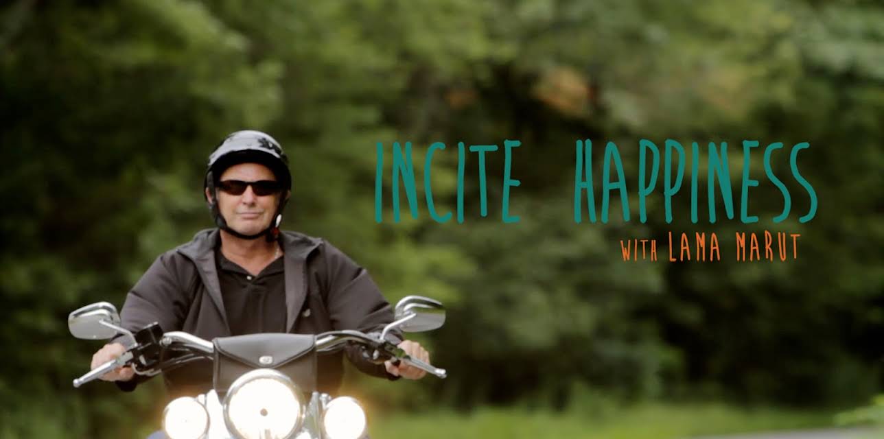 Incite Happiness (2018)