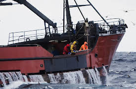 Deadliest Catch, Season 20: Forged in Fury