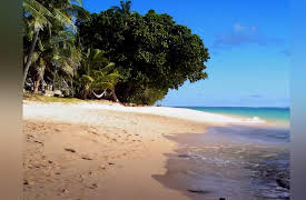 Island Hunters: A Quest for a Fijian Paradise