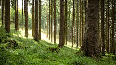 03:40: Nightmare Next Door (S2 E11) (S2) | Kanal 11 | 11/24 2025