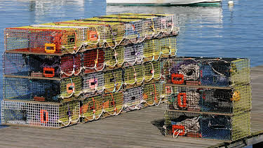 14:14: Hvordan gjør de det? (S15 E12) (S15) | Discovery Science | 12/27 2025