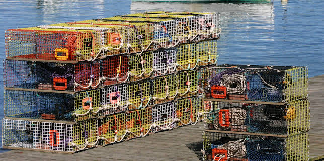 13:14: Hvordan gjør de det? (S15 E12) (S15) | Discovery Science | 11/1 2025