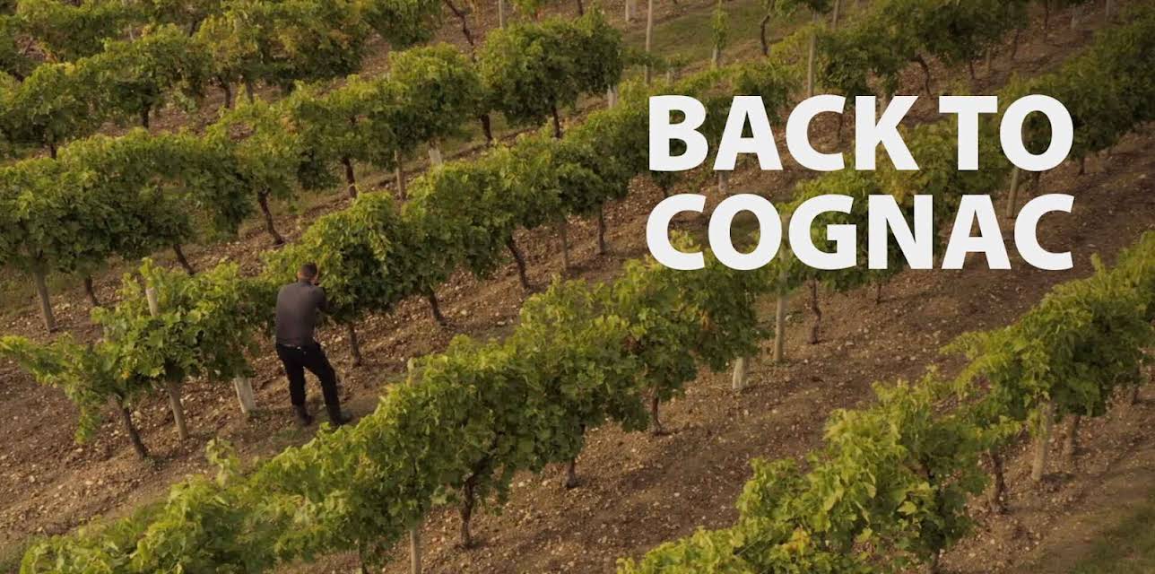 Back to Cognac (2020)