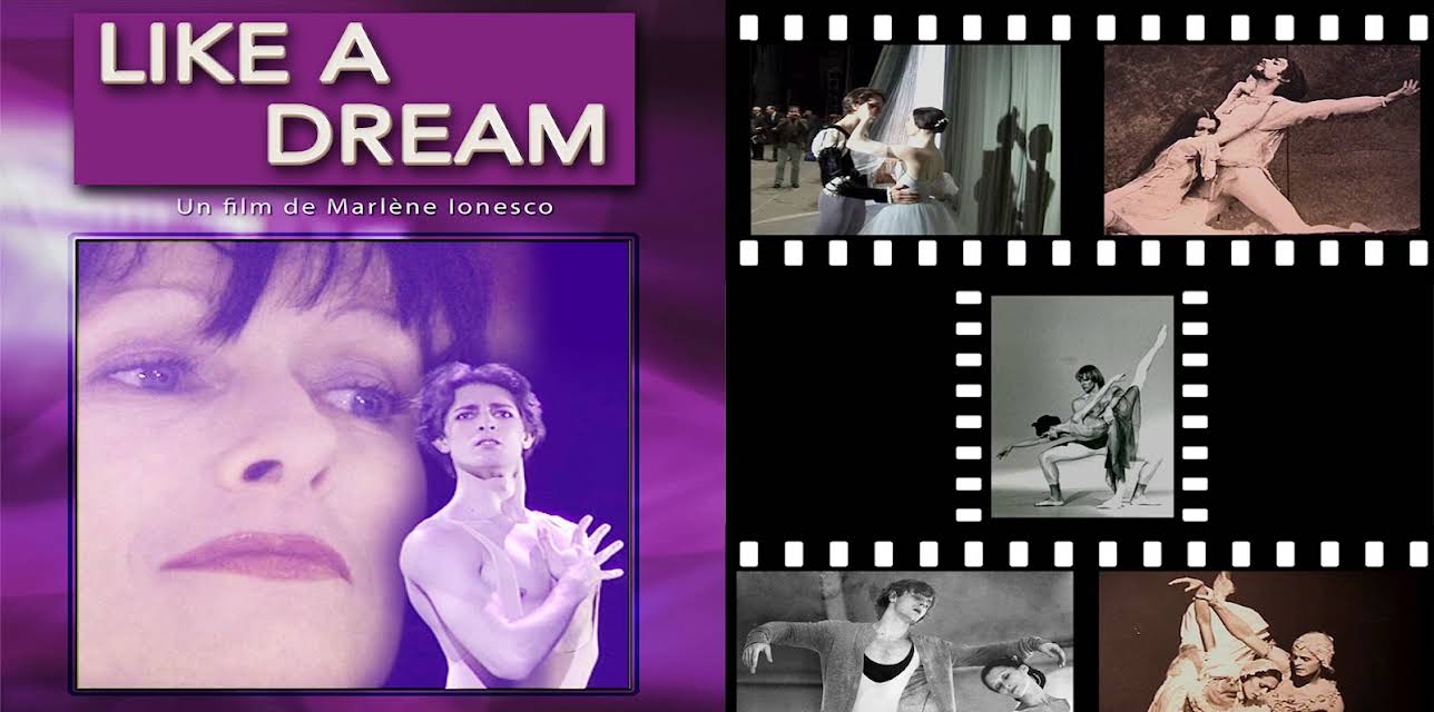 Like a Dream (2012)