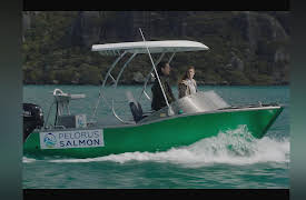 The Sounds - Series 1: Not Tom