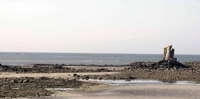 20:15: Ebbe - Ein tierisches Kammerspiel | Arte | 12/24 2025