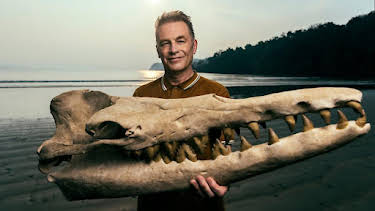 9:00 PM: Evolution (S1) | BBC Two | 8/3 2026