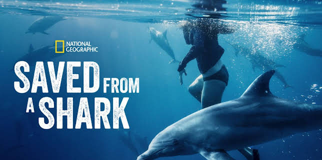 Saved from a Shark (2023)