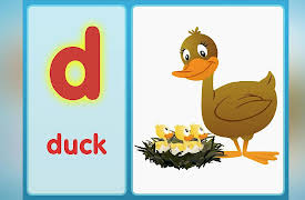 Phonics Fun: The D Song (Lowercase)