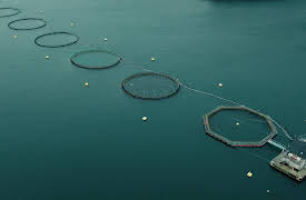 The Fortress: Infected from Outside