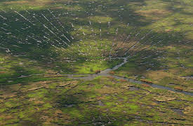 Aerial Adventures: Strange Sights