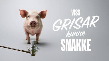 14:00: Viss grisar kunne snakke | NRK 1 | 9/20 2026