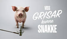 Viss grisar kunne snakke