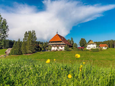 19:15: Die Fallers - Die SWR Schwarzwaldserie | SWR Fernsehen RP | 4/19 2026