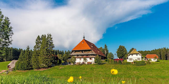 19:15: Die Fallers - Die SWR Schwarzwaldserie | SWR Fernsehen RP | 3/15 2026