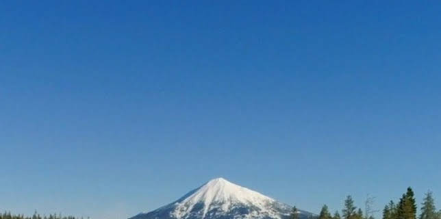 Winter Wonderland (2022)