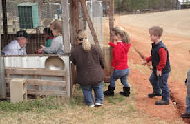 7 Little Johnstons: Episode 2