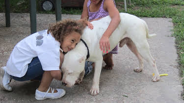 07:50: Pit Bulls & Parolees (S4 E2) (S4) | Animal Planet | 12/27 2025