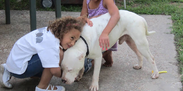 15:00: Pit Bulls & Parolees (S4 E2) (S4) | Animal Planet | 12/11 2025