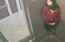 BuzzFeed Unsolved: True Crime: The Bizarre Death Of Elisa Lam