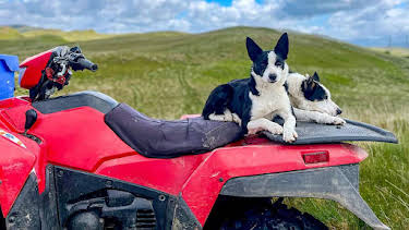 7:30 AM: Farm 999 (S1) | BBC Two | 6/30 2026