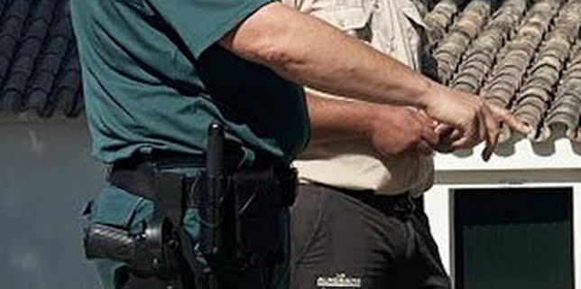 07:52: Seprona en acción: Episodio 12 | Discovery Max | 2/5 2026