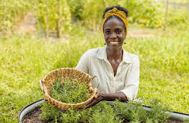 Magnolia Workshops: Confidence Through Projects