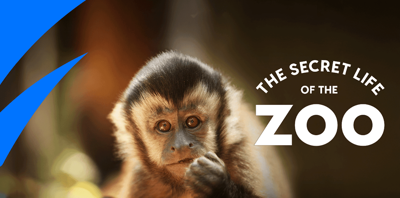 The Secret Life Of The Zoo Season 1