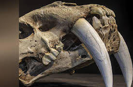 Secrets of the Underground Season 1: Great Lakes Bermuda Triangle