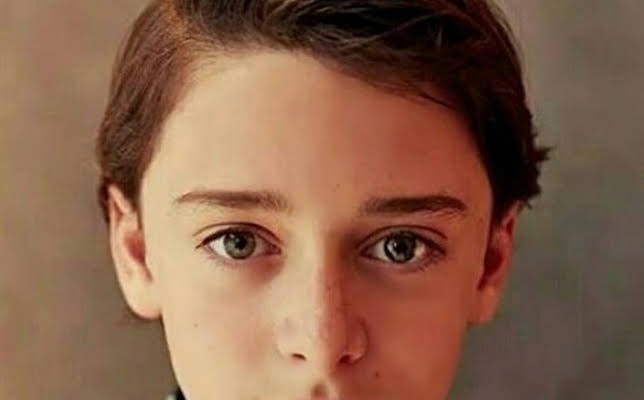 Noah Schnapp