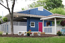 Pet Nation Renovation: Episode 2