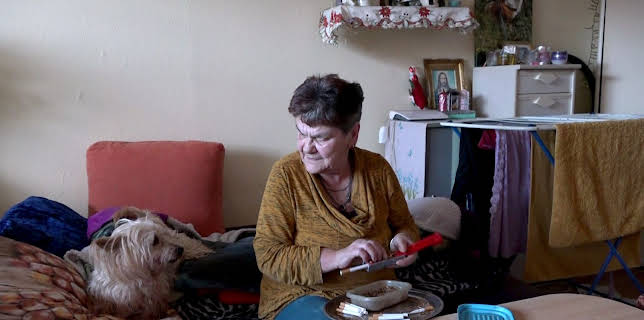 17:15: Hartz und herzlich - Tag für Tag Rostock (S7 E55) (S7) | RTL 2 | 3/8 2026