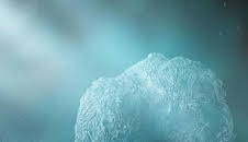 Misterios del espacio: Safari extraterrestre