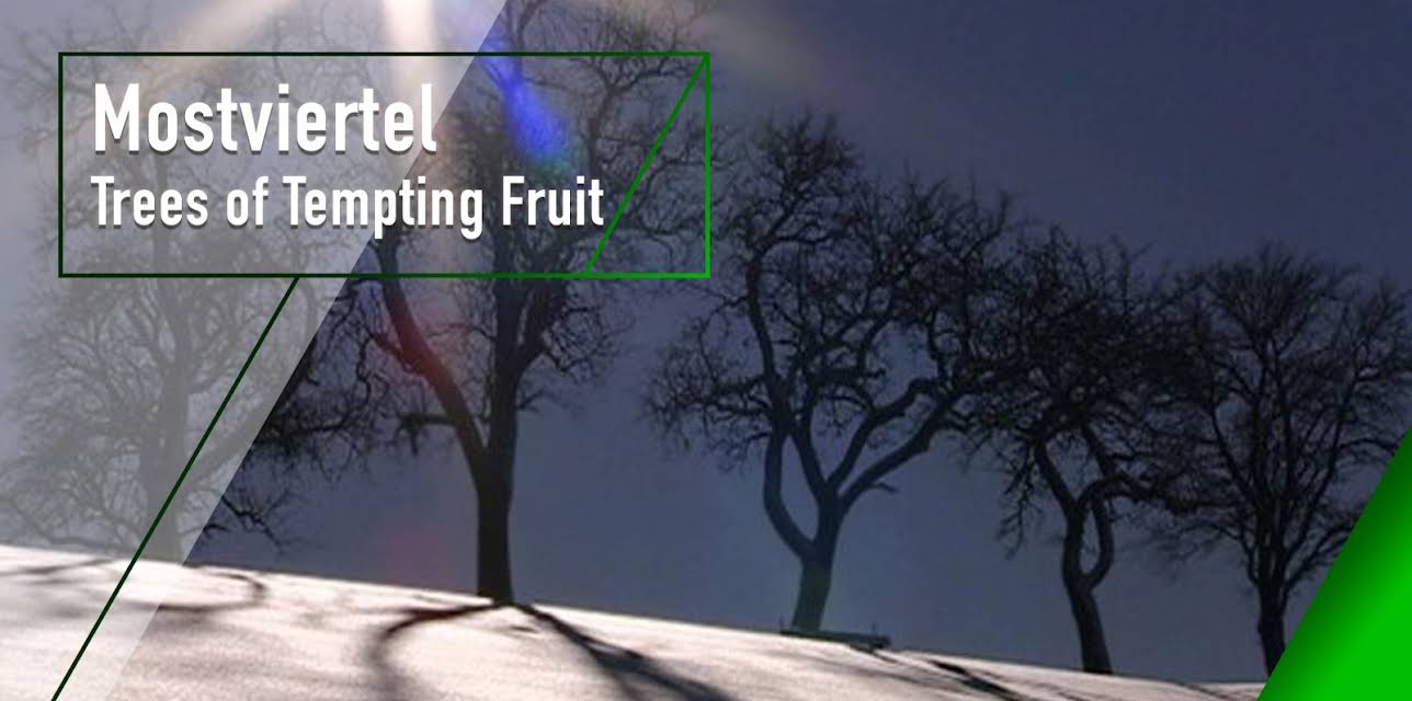 Mostviertel - Trees of Tempting Fruit (2001)