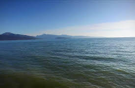 Robson Green's Grandslam Fishing: Homer