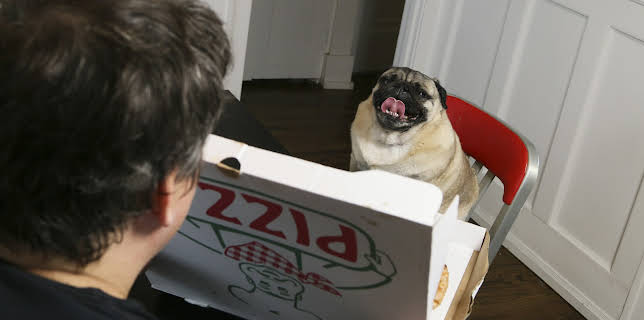 23:00: Bad Dog (S3 E8) (S3) | Animal Planet | 12/23 2025