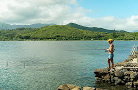 Hope in the Water: The Fish in the Sea