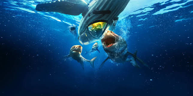 Belly of the Beast: Feeding Frenzy