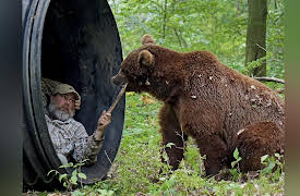Project Grizzly Season 1: Teenage Bears