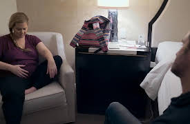 Expecting Amy, Season 1: Conception