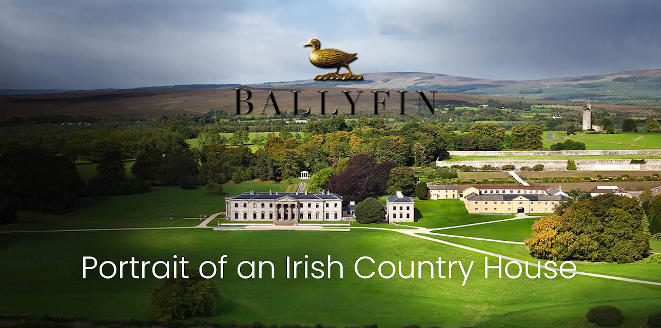 Ballyfin: Portrait of an Irish Country House (2017)
