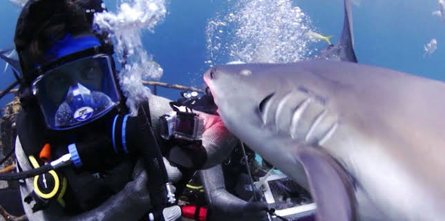 00:20: Joko gegen Klaas: Das Duell um die Welt | ProSieben | 12/8 2025