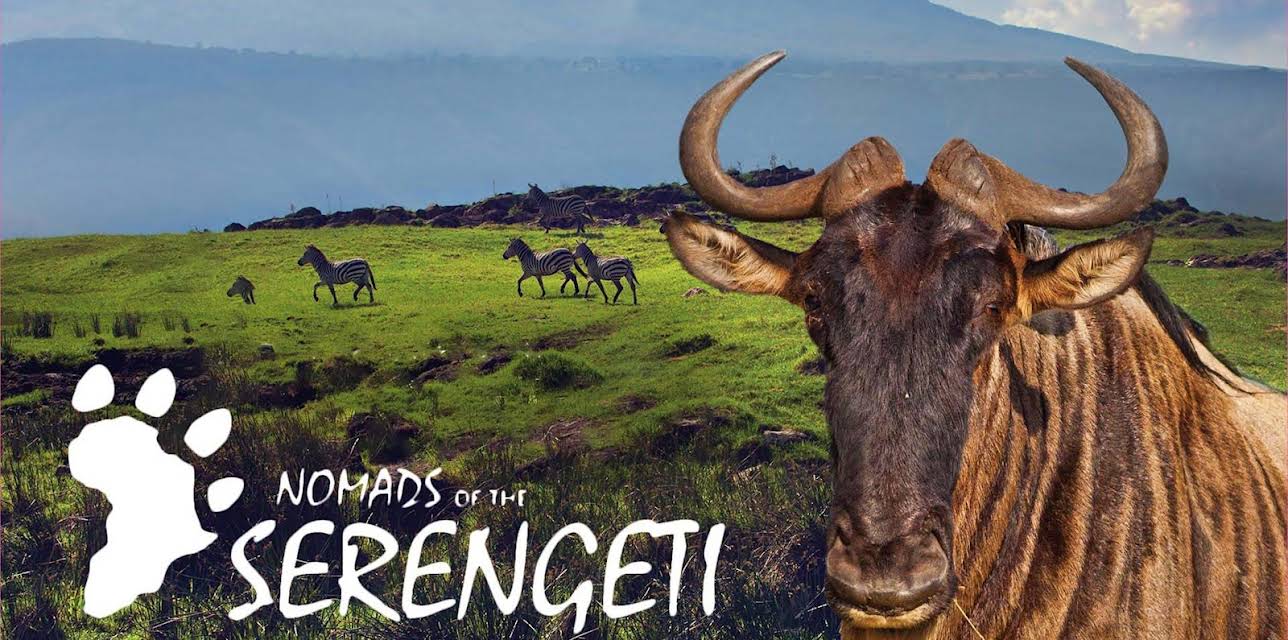 Nomads Of The Serengeti