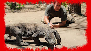 17:15: Grandes Documentales Fauna Letal | LA 2 | 9/15 2026