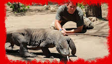 Grandes Documentales Fauna Letal