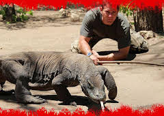 Grandes Documentales Fauna Letal