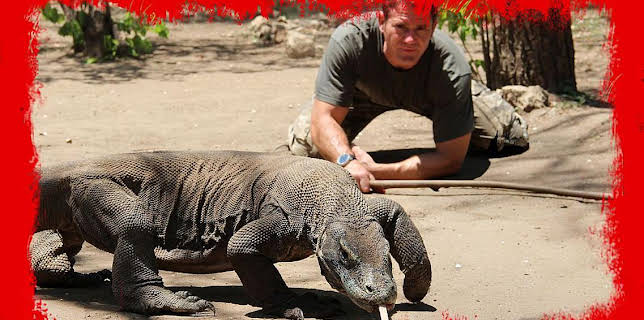 17:18: Grandes Documentales Fauna Letal | LA 2 | 1/22 2026